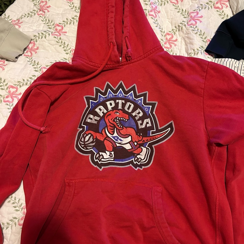 Kids Red Raptors Hoodie